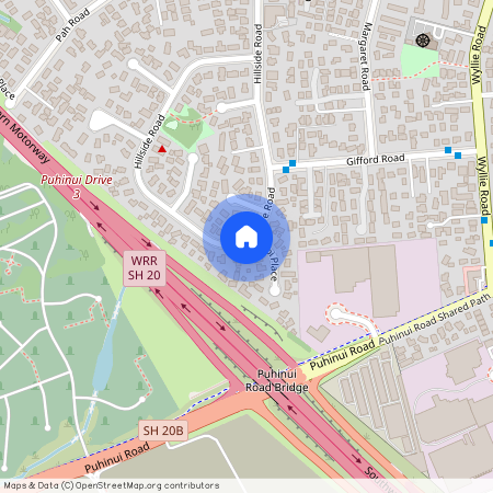 162 Hillside Road, Papatoetoe, Manukau City