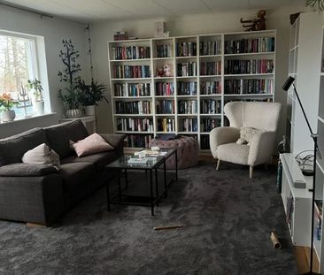 Gamla Halasjövägen, Trensum - Photo 1