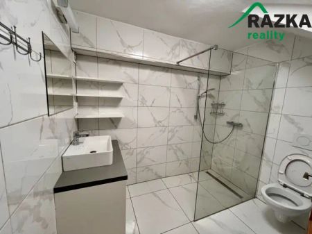 Pronajmu zařízený byt 1+1 ve Stříbře - Fotografie 5