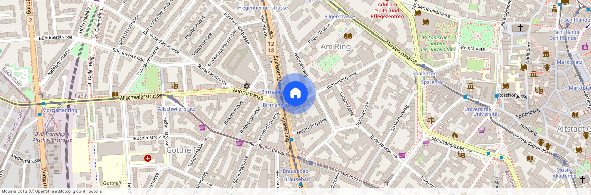 4055, Basel, Birmannsgasse, 46