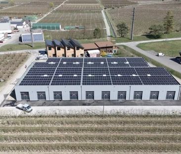 Halle Les Vergers Saxon Proximité de l'A9 - Foto 4