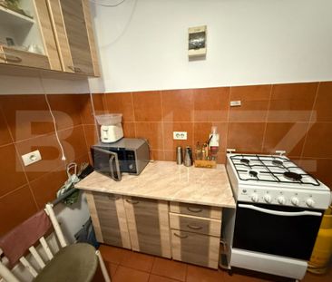 Apartament cu 1 cameră la casă, cu curte generoasă – pe - Photo 4