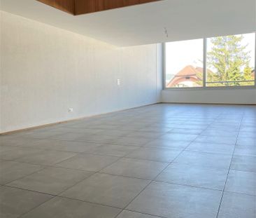 3.5 Zimmer, 186 m², EG - Foto 2
