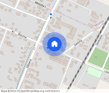 Dom do wynajęcia Krosno k/Mosiny - Photo 1