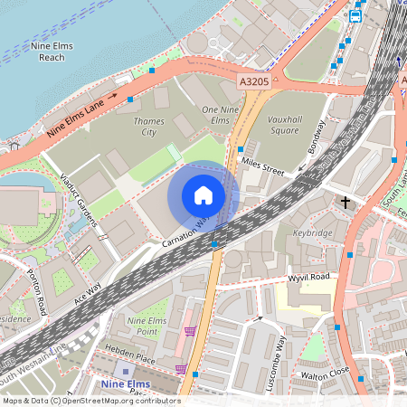 Carnation Way, London