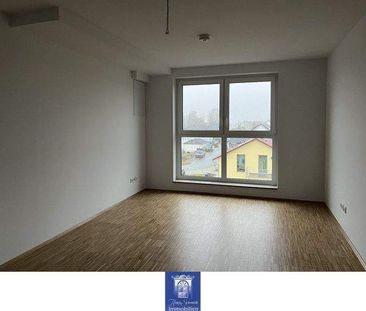 Perfekte Dachwohnung im Neubau! EBK, Lift und Erstbezug! - Photo 1