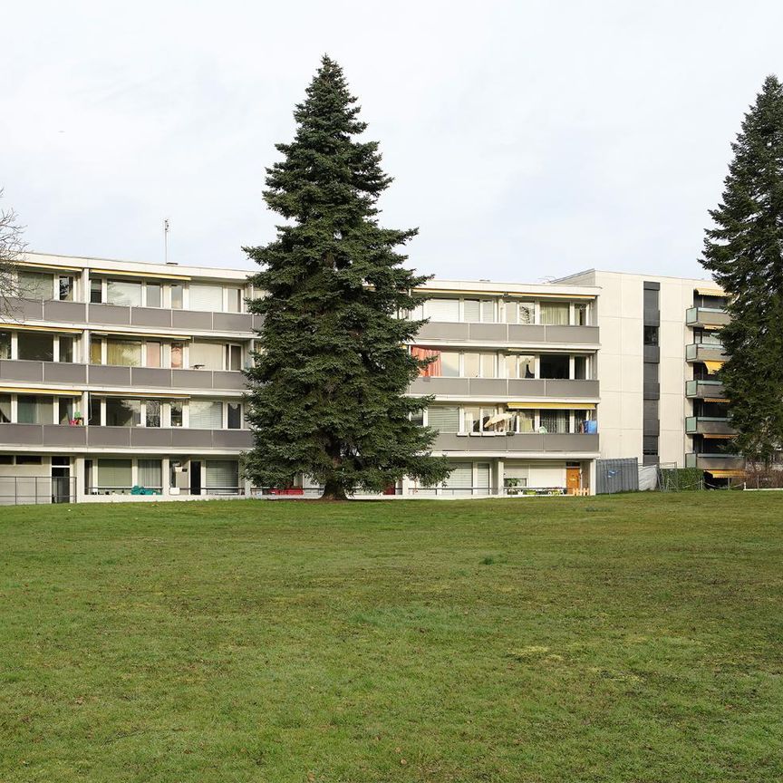 3 Zimmer, 46 m², 1. Stock - Photo 1