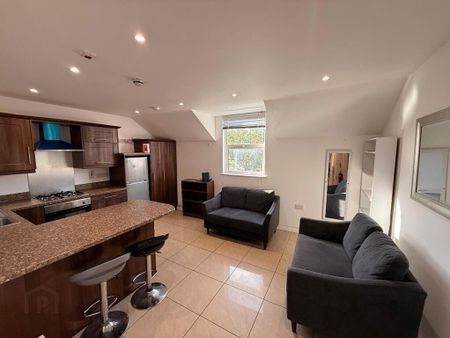 Flat 3, 89 Wellesley Avenue, Belfast, BT9 6DH - Photo 3