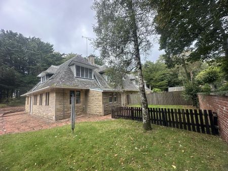 3 bedroom character property to rent - Photo 4