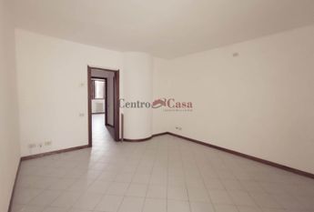 Grazioso tricolare in contesto di corte.