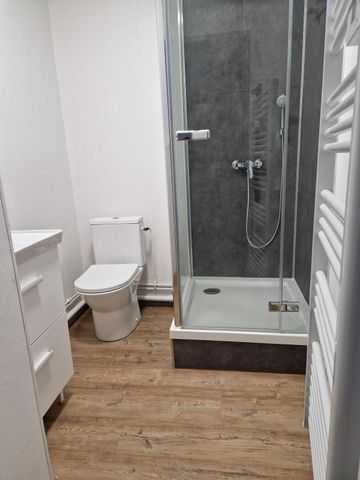 Location Appartement 1 pièce 19m² ANGERS 49100 - Photo 5