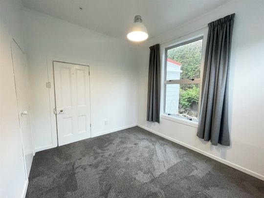 29 Tyne Street, Roslyn, Dunedin - Photo 1