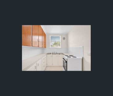 Updated Two Bedroom Unit in Highton - Photo 3