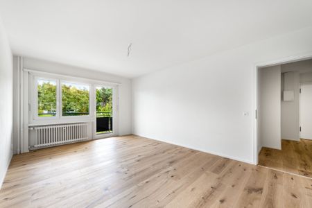 Cozy apartment near Irchelpark - Photo 4