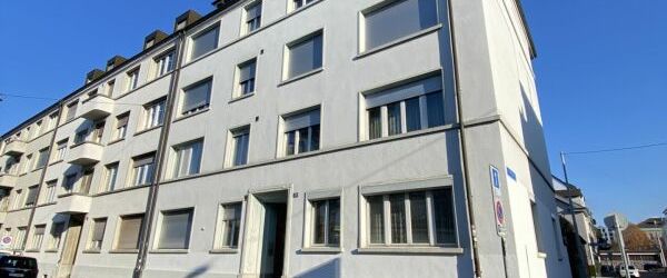 Frisch renovierte 2-Zimmerwohnung in ruhiger Seitenstrasse Nähe Horburgpark - Photo 1