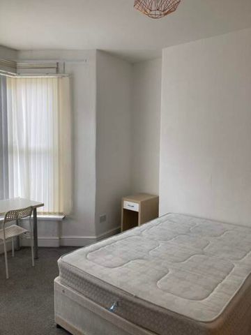 Large Ground Floor Room – Brynmill - Photo 4