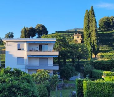 Via San Gottardo 53, 6877, Coldrerio - Photo 6