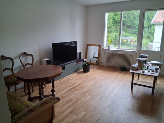 Sanatoriegatan, Göteborg - Photo 1