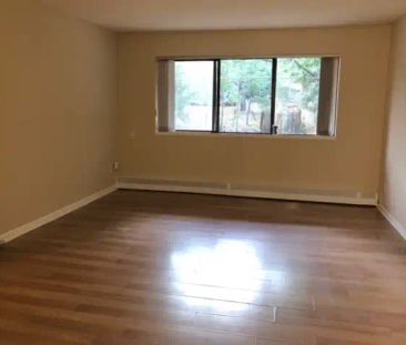Olympic View Terrace — 2 Bedroom - Photo 6