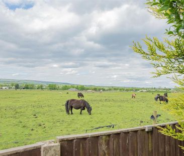 3 bedroom semi-detached bungalow to rent - Photo 6