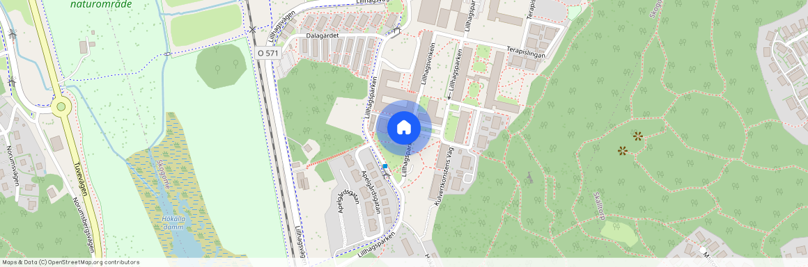 Göteborg, Lillhagsparken, 19B, 42260
