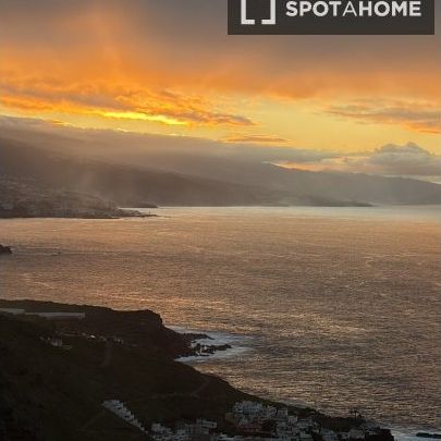 santa_cruz_de_tenerife, Canary Islands 38379 - Photo 1