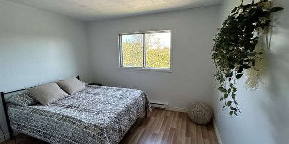 2 CH - 1 SDB - Sherbrooke - $1,150 /mo - Photo 3