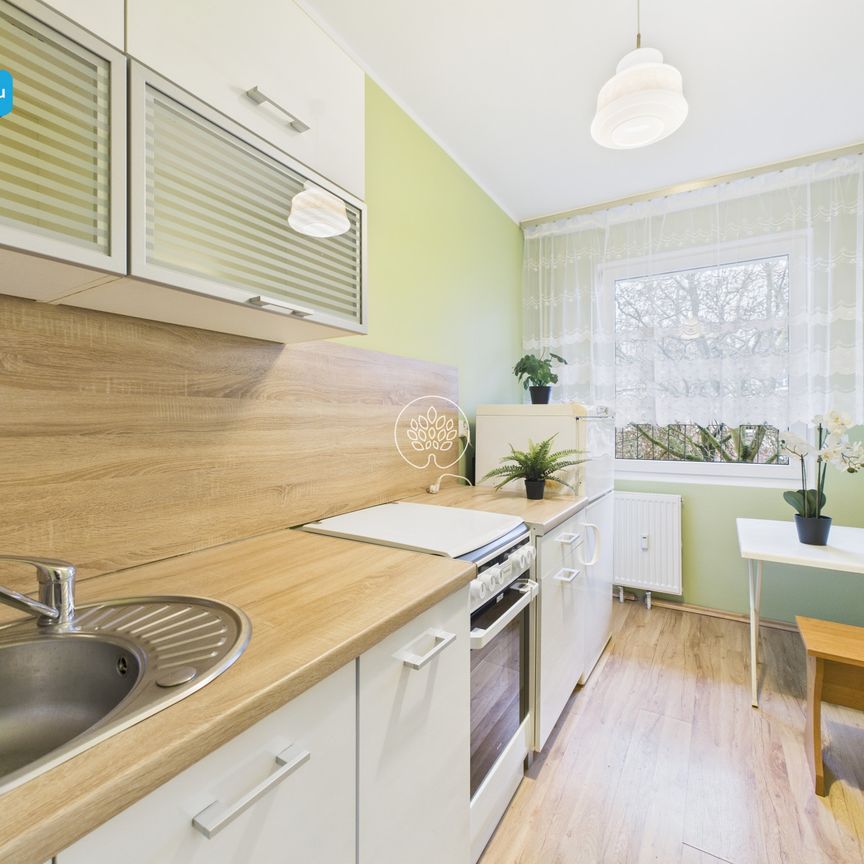 kawalerka na wynajem - Zdjęcie 1