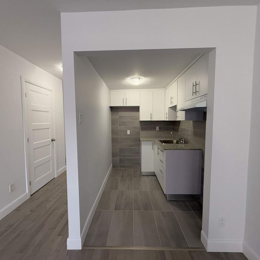 1 CH - 1 SDB - Saint-Laurent - $1,200 /mo - Photo 1