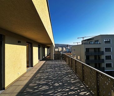 Highlight-Penthouse in der Bahnstadt - Foto 1