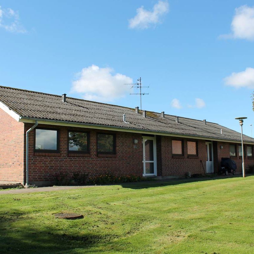 V. Hjermitslev - Photo 1