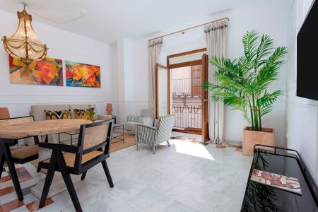 Calle Francos, Sevilla, Andalusia 41004 - Photo 4