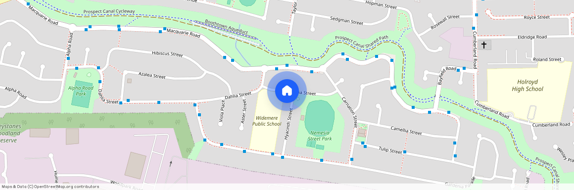 1 Hyacinth Street, NSW 2145, Greystanes