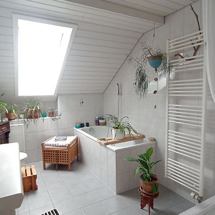 3½ Zimmer-Wohnung in Steckborn (TG), möbliert, auf Zeit - Photo 1