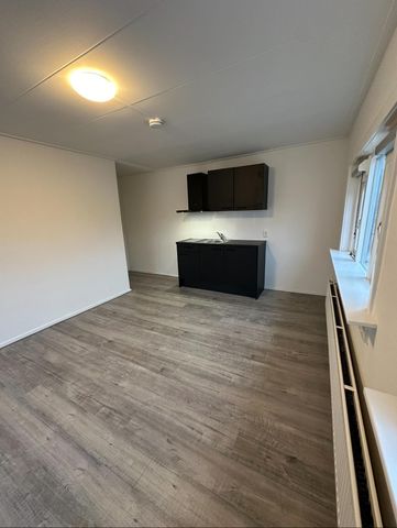Te huur: Kamer Krabbenbosweg in Hengelo - Foto 3