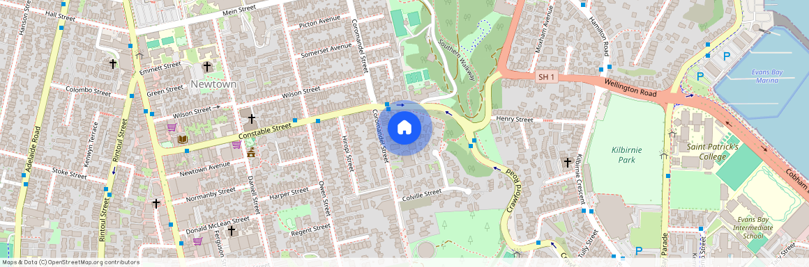 97B Coromandel Street, Newtown, Wellington City