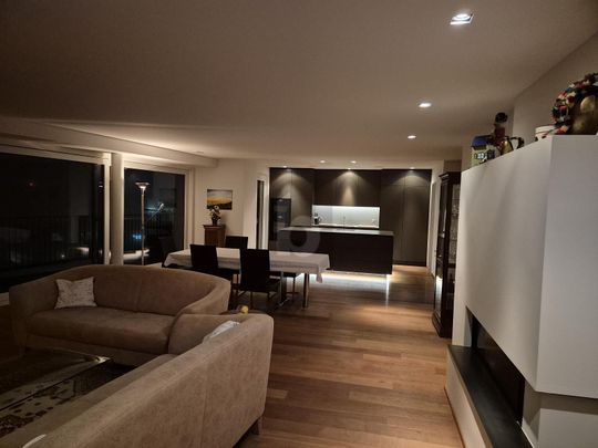 EXCLUSIVE 180° PANORAMIC VIEW OF LAKE ZÜRICH - Foto 1