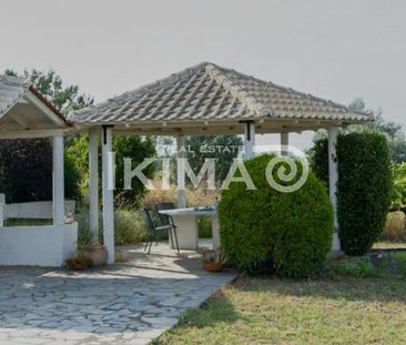 Μονοκατοικία για ενοικίαση Καρδιά (Μίκρα) - Photo 4