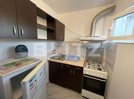 Garsoniera, pet friendly, 30 mp, zona Fabricii de Zahăr - Fotografie 4