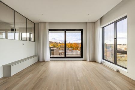 Appartement à louer - Montréal (Outremont) - Photo 3