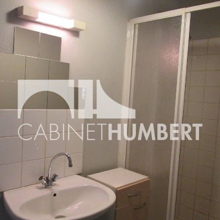 Location Appartement 1 pièce Meublé 25m² ST ETIENNE 42000 - Photo 4