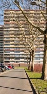 Oost Dorsch, 1504 Zaandam, Nederland - Foto 4