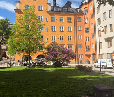 Tre Liljor, Stockholm - Photo 1