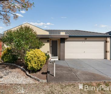 The Perfect Location! - Photo 3