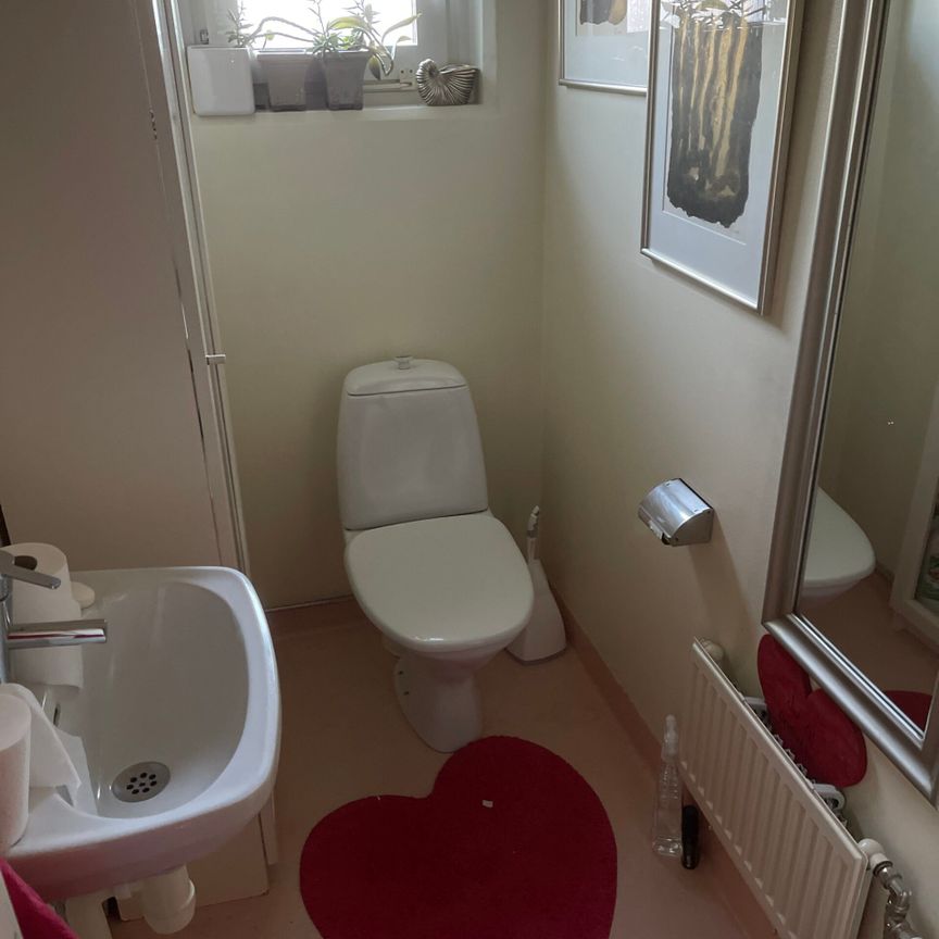 Rum i lägehet för kvinnlig student - Photo 1