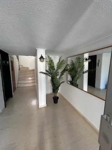 Ενοικίαση κατοικίας, 110 τ.μ., Άρτεμις, 800 € - Photo 4