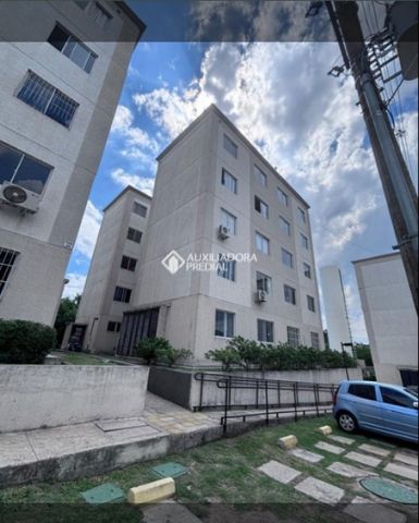 Apartamento com 2 quartos e 41m² para alugar em Protásio Alves, Porto Alegre. - Photo 4