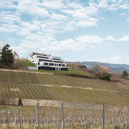 5.5 Zimmer, 171 m² - Photo 1