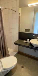 Prime Ponsonby Location! - Photo 4