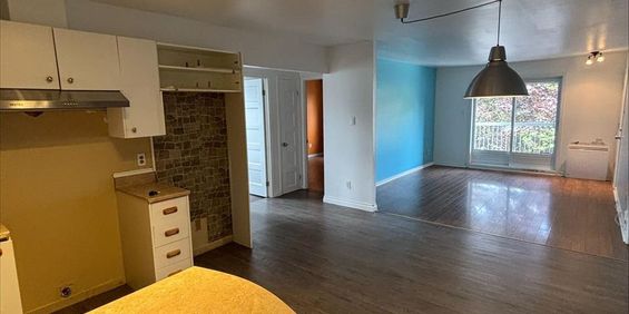 3 CH - 1 SDB - Sorel-Tracy - $1,250 /mo - Photo 3
